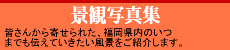 http://torikumireport.blog122.fc2.com/